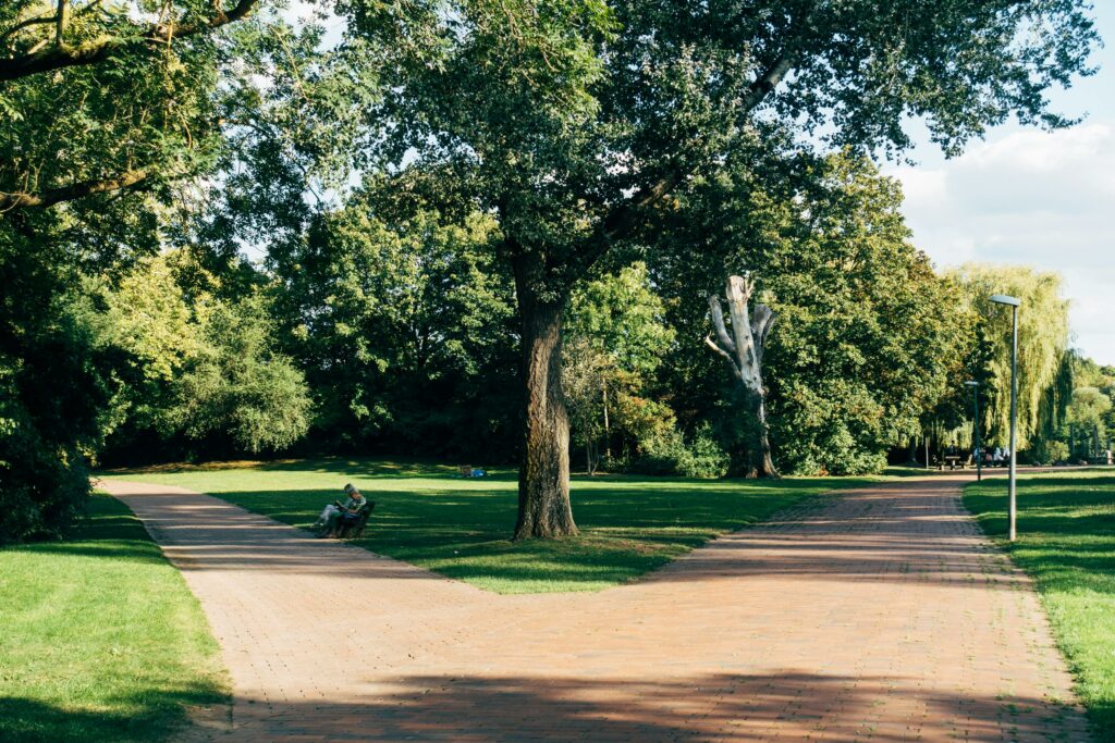 A peaceful scene of a split brick pathway surrounded by lush green trees in a sunny park.