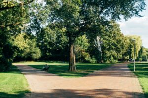 A peaceful scene of a split brick pathway surrounded by lush green trees in a sunny park.